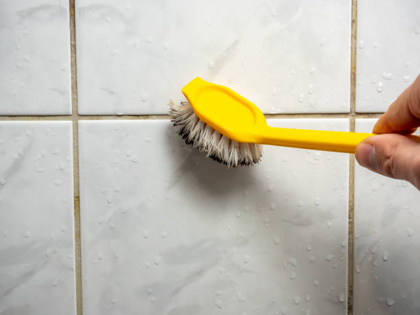 Best Best Mold Removal Companies  in Bayside Gardens, OR