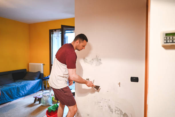 Best Commercial Mold Removal  in Bayside Gardens, OR