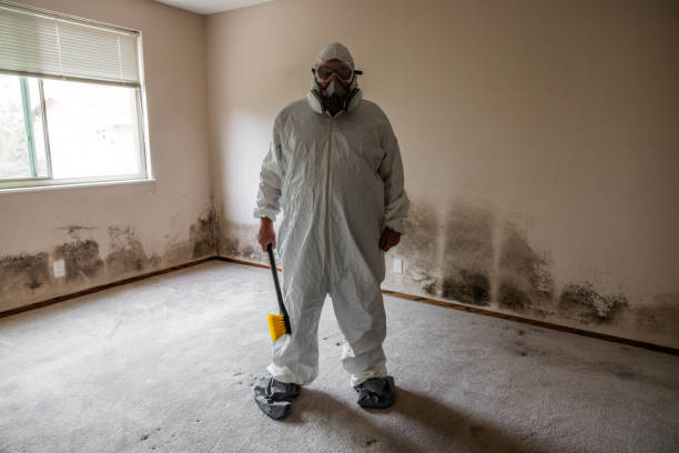 Attic Mold Removal in Bayside Gardens, OR